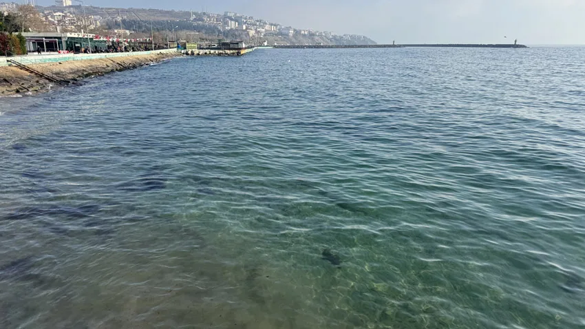 Tekirdağ’da deniz ulaşımı normale döndü