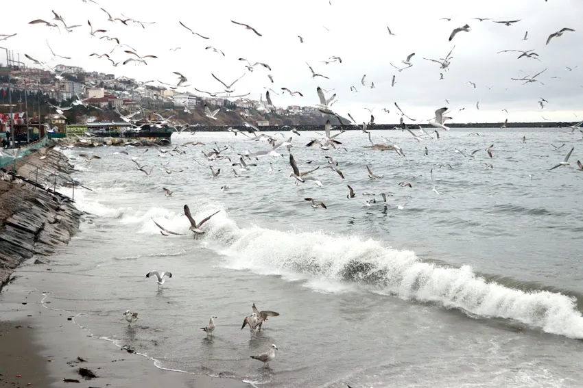 Tekirdağ’da deniz ulaşımına poyraz engeli