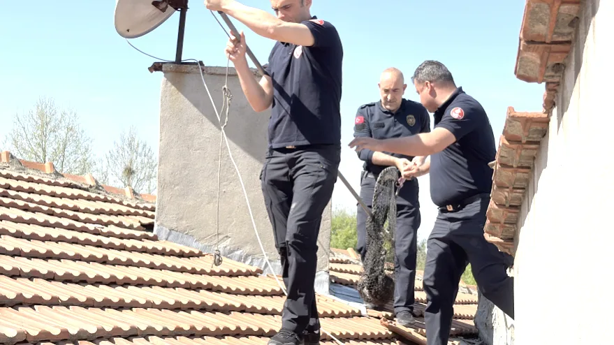 İtfaiyeden kediye kurtarma operasyonu