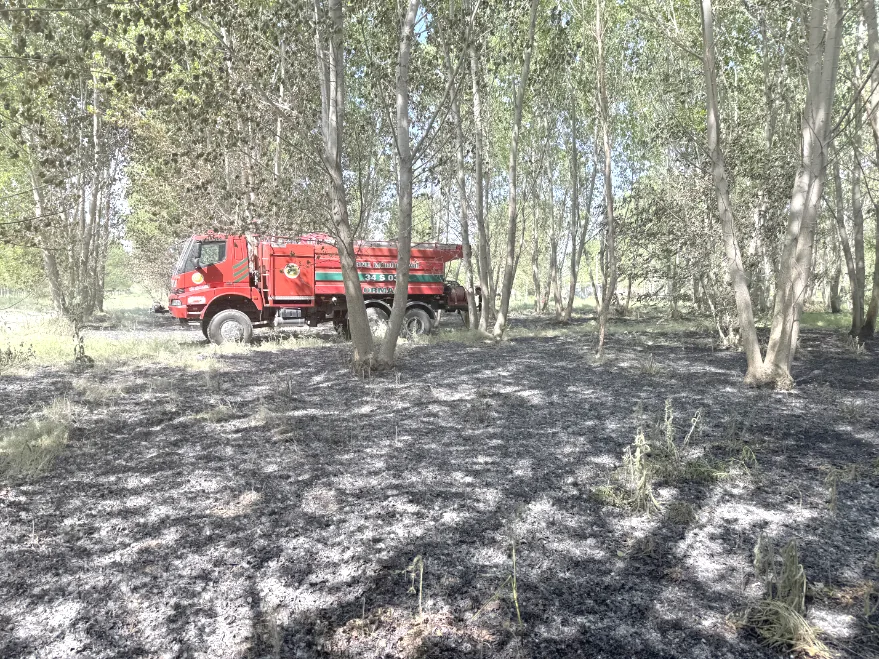 Edirne’de çalılık alanda çıkan yangın söndürüldü