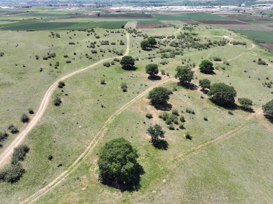 Edirne’de meraların belli bölümlerinde sulamalı sisteme geçilecek