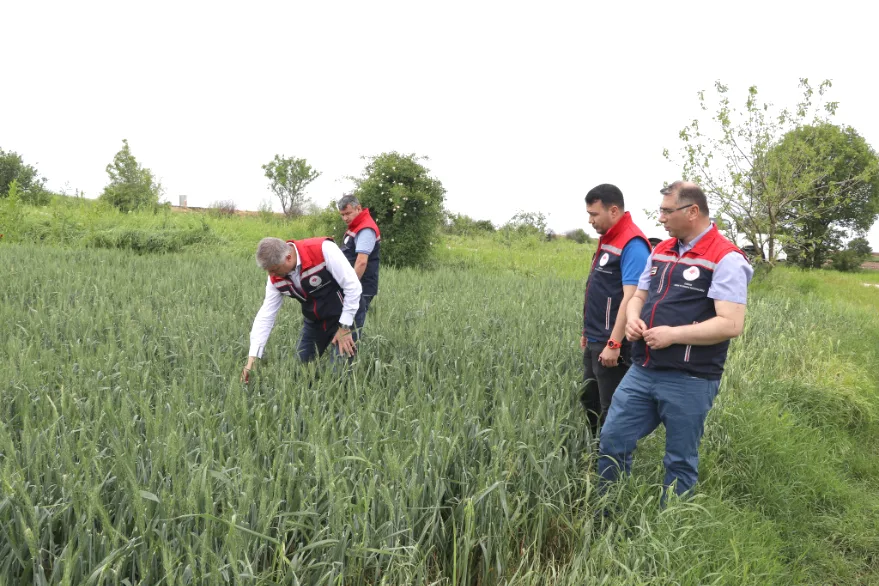 Dolunun vurduğu tarlalarda hasar tespiti yapıldı