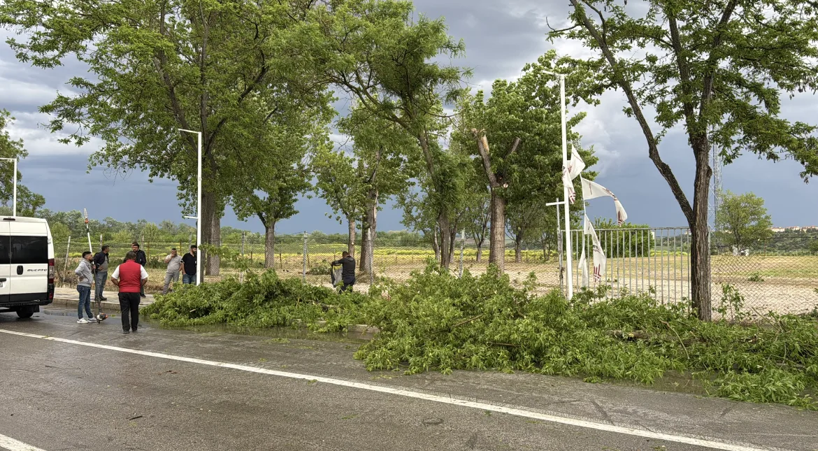 Edirne’de kuvvetli rüzgar, sağanak ve dolu etkili oldu