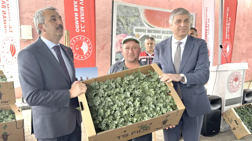 Edirneli çiftçilere 66 bin 640 karpuz fidesi dağıtıldı