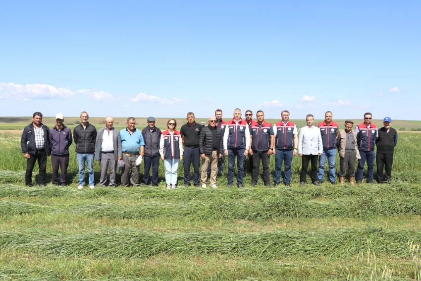 Edirne’de suni merada ilk biçim yapıldı