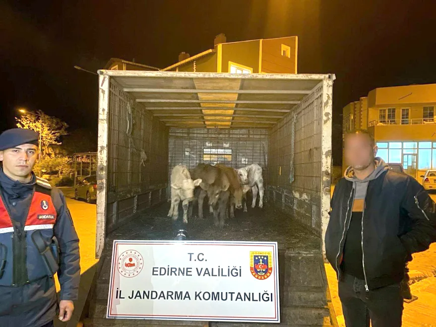 Hayvan hırsızları jandarma tarafından yakalandı