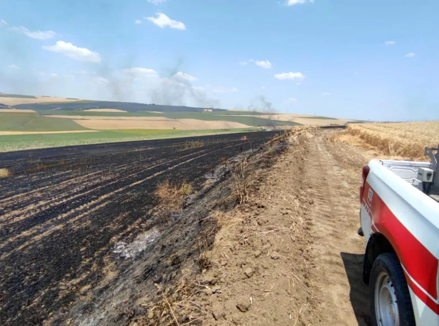 Tekirdağ’da 70 dönüm buğday ekili alan yandı