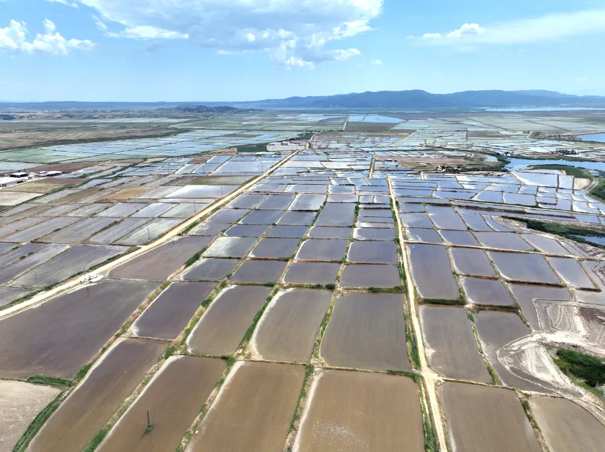 Edirne’de çeltik ekim alanı 450 bin dekara ulaştı