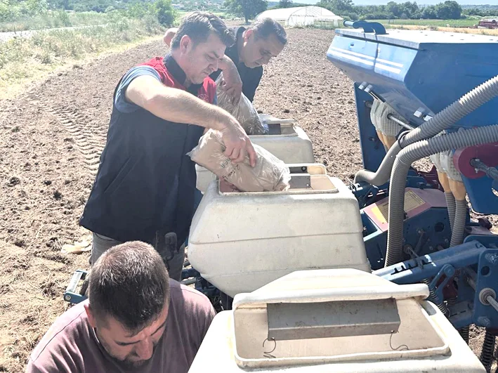 Deneme alani 2 - Kırklareli’nde Aga mısır çeşidi deneme sahası kuruldu