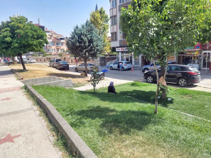 Yesil Alan Otopark Oldu 2 - Park değil artık otopark!