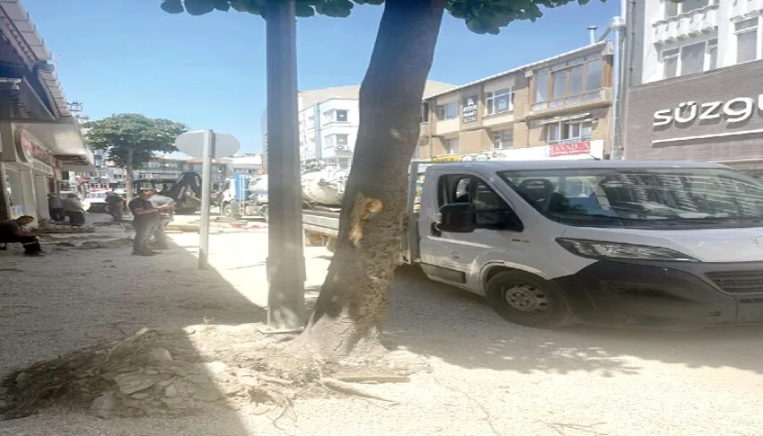 “Ağaçlar güvenlik gerekçesiyle kaldırıldı”