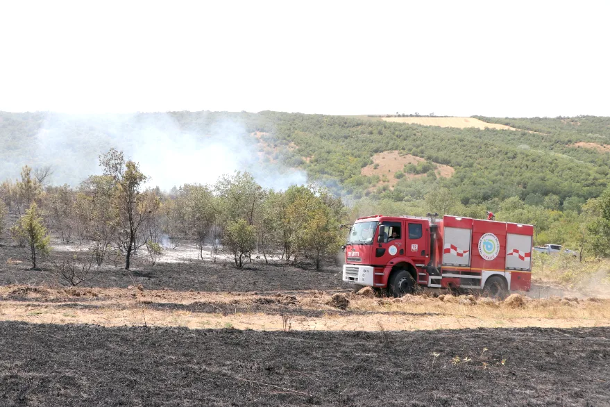 Tekirdağ’da anızda başlayıp ormana sıçrayan yangına müdahale ediliyor