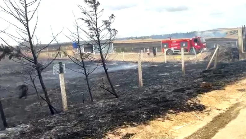 Tekirdağ’da çıkan anız yangını söndürüldü