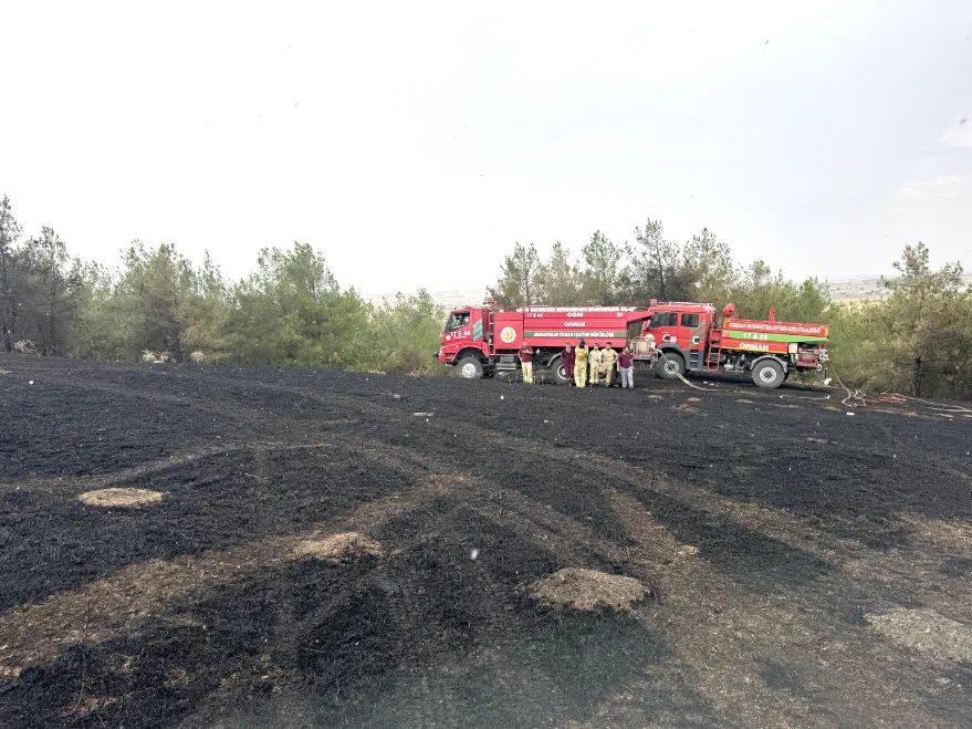 AA 20250806 38760071 38760068 EDIRNEDE CIKAN ORMAN YANGINI SONDURULDU - Edirne’de çıkan orman yangını söndürüldü