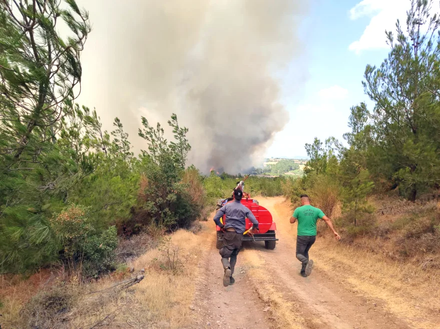 Çanakkale’nin Bayramiç ilçesinde çıkan orman yangını nedeniyle 3 köy boşaltıldı