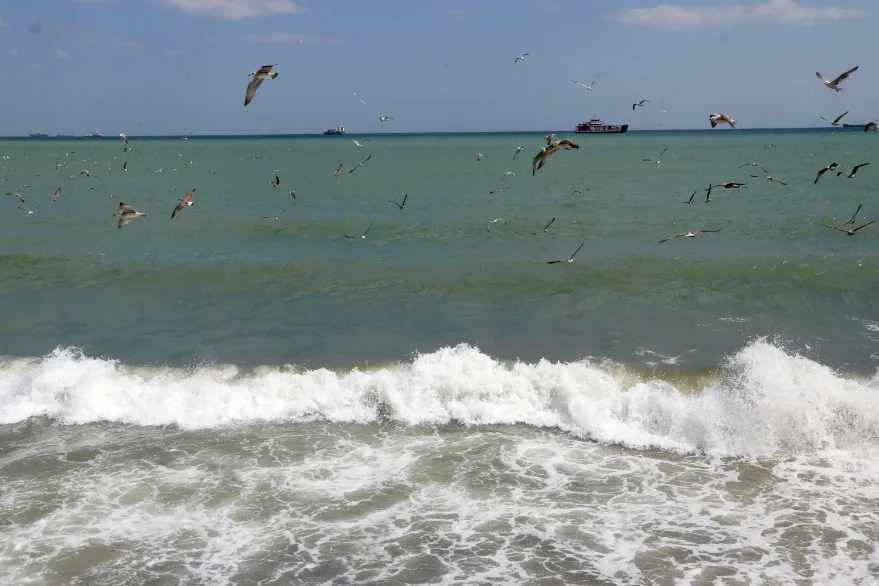 Tekirdağ’da etkili olan poyraz deniz ulaşımını olumsuz etkiliyor
