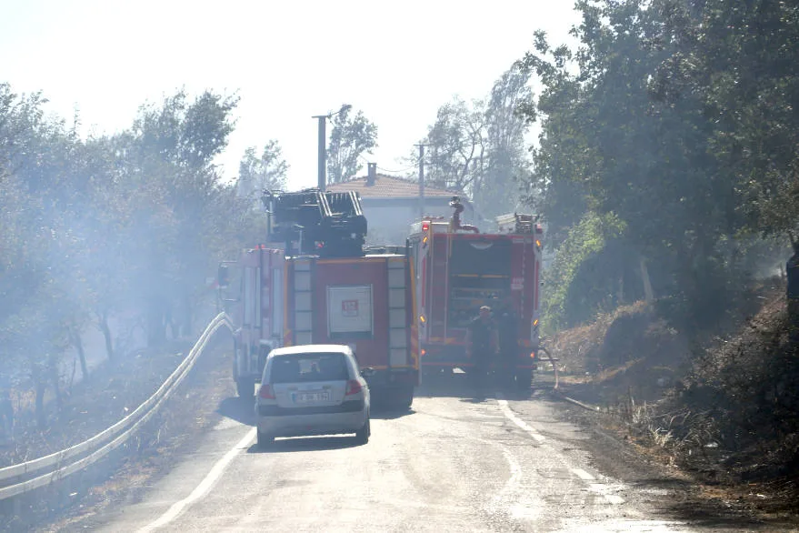 Tekirdağ’da anızda çıkıp ağaçlık alana sıçrayan yangın söndürüldü