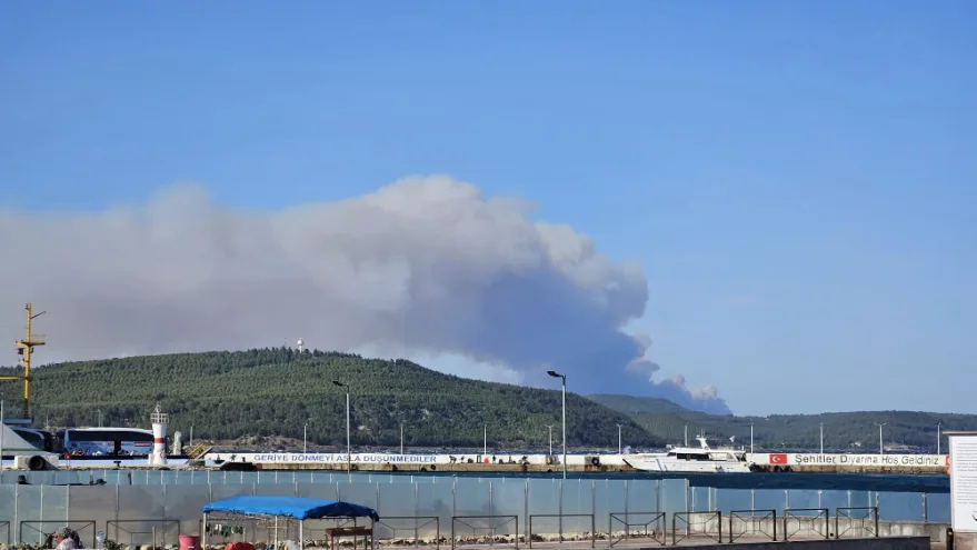 Çanakkale’nin Gelibolu ilçesinde orman yangını çıktı