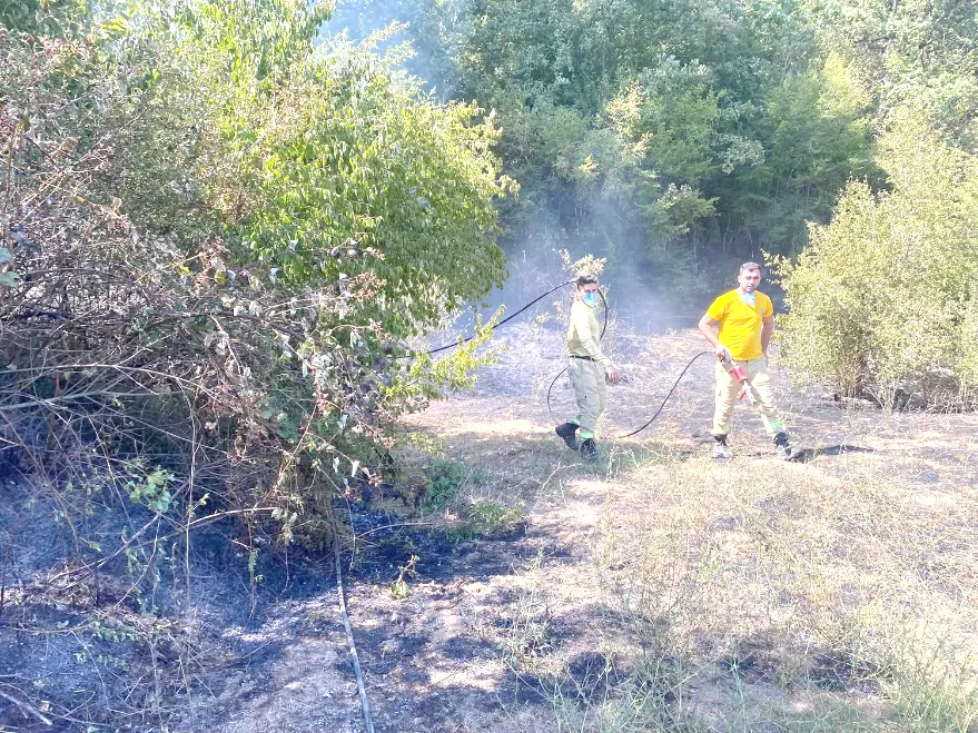 Kırklareli’nde orman yangını büyümeden söndürüldü