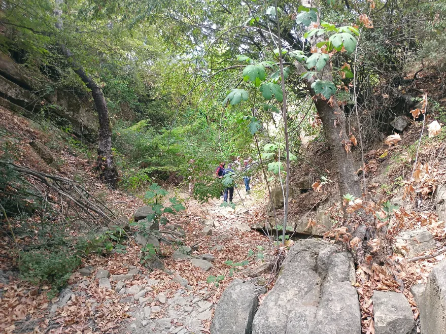 Tekirdağ’da kayıp olarak aranan yaşlı kadın ölü bulundu