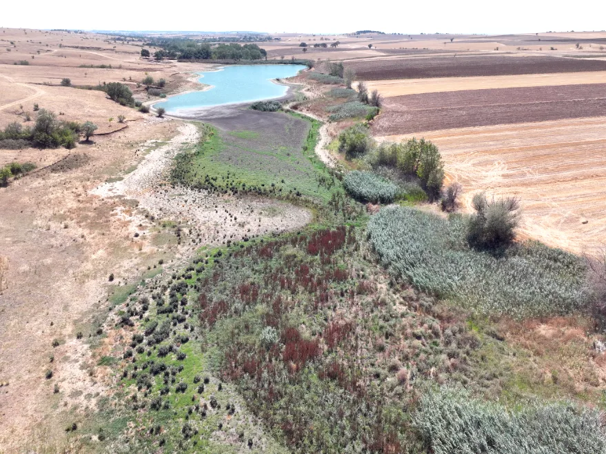 Edirne’de sıcak hava ve kuraklık su kaynaklarını bitiriyor