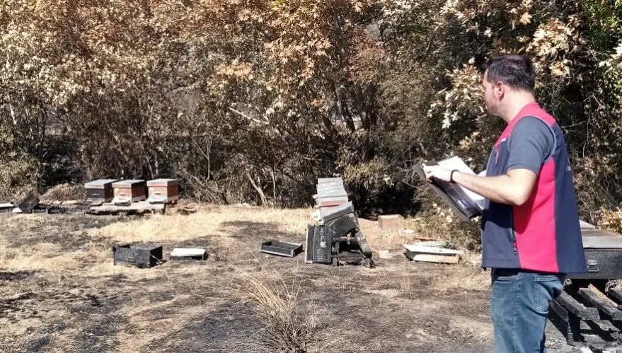 Gelibolu’da yangın sonrası hasar tespit çalışmaları başladı