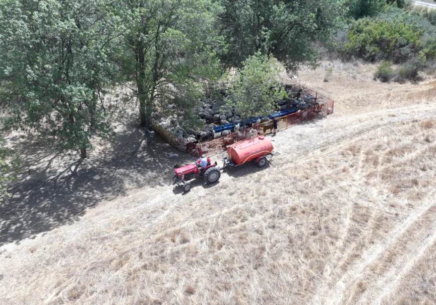 AA 20250827 38933560 38933552 EDIRNEDE BESICILER SU KAYNAKLARININ KURUMA NOKTASINA GELDIGI MERALARDAKI HAYVANLARINA TANKERLERLE SU TASIYOR - Kuraklık Edirne’de meraları vurdu: Besiciler suyu tankerle taşıyor
