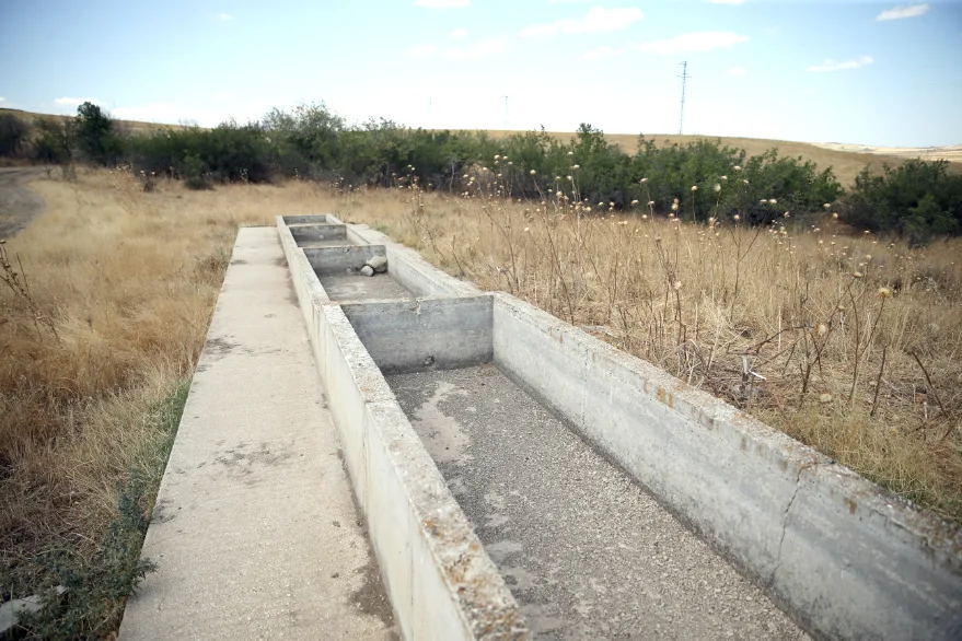 AA 20250827 38933560 38933559 EDIRNEDE BESICILER SU KAYNAKLARININ KURUMA NOKTASINA GELDIGI MERALARDAKI HAYVANLARINA TANKERLERLE SU TASIYOR - Kuraklık Edirne’de meraları vurdu: Besiciler suyu tankerle taşıyor