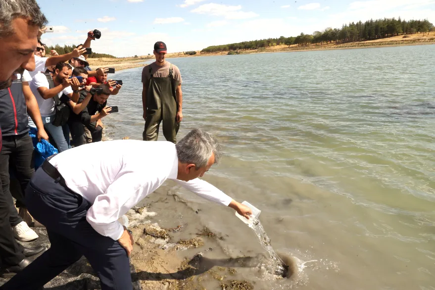 Edirne’de Osmanlı köyündeki gölete 30 bin pullu sazan yavrusu bırakıldı