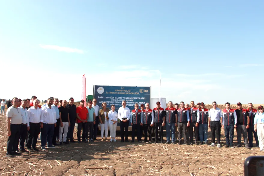 Aycicegi Dermantasyon Hasat 3 - Ayçiçeği demonstrasyon çalışması hasatla tamamlandı