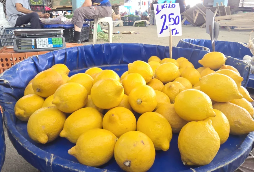 Edirne Halk Pazarı’nda limon fiyatıyla yüzleri ekşitti