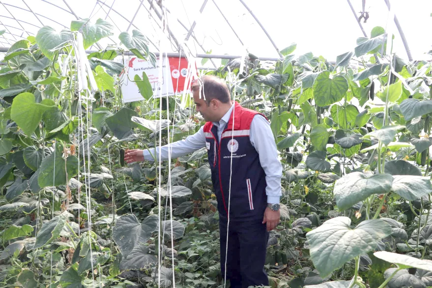 Sera Inceleme 1 - Edirne’de seracılık yatırımları artıyor