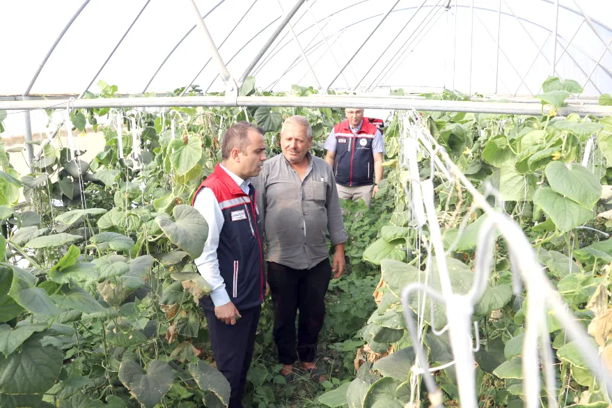 Edirne’de seracılık yatırımları artıyor