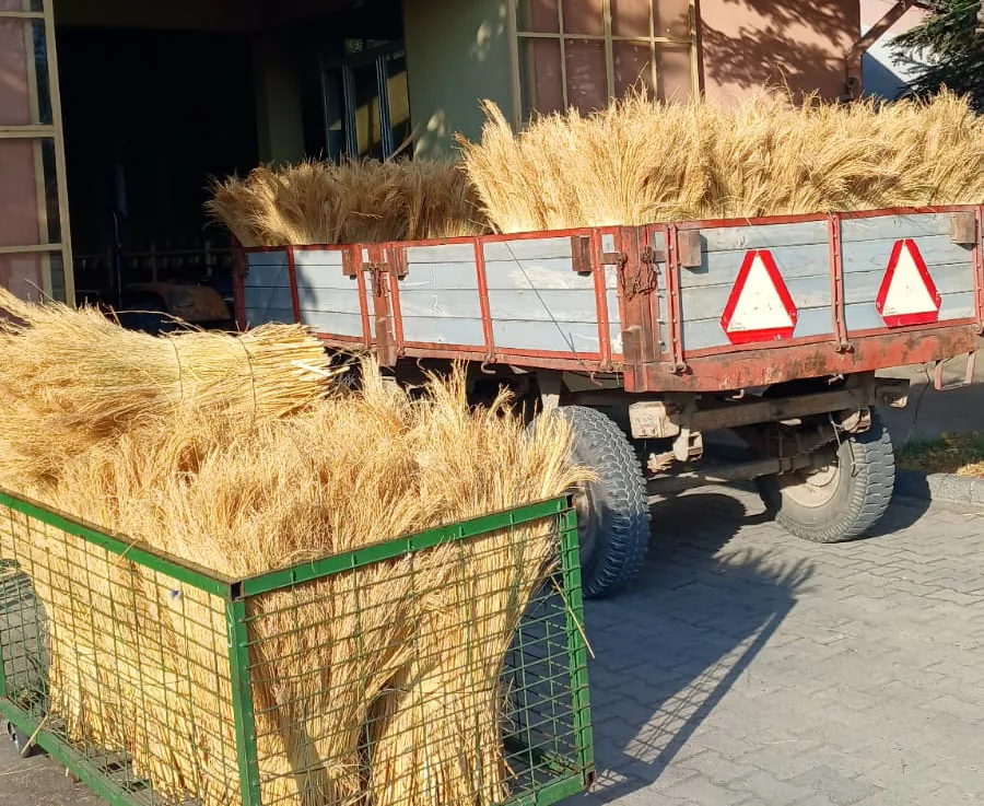 Yeni Mahsul Süpürge Teli Borsa’da