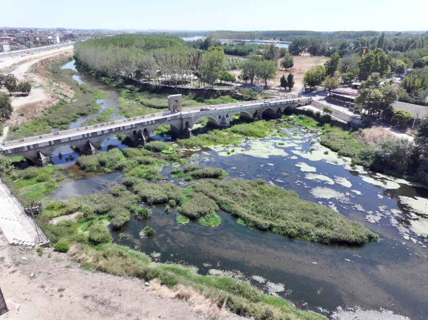 Tunca Nehri’nde su akışının durduğu alanlar ot öbekleriyle kaplandı