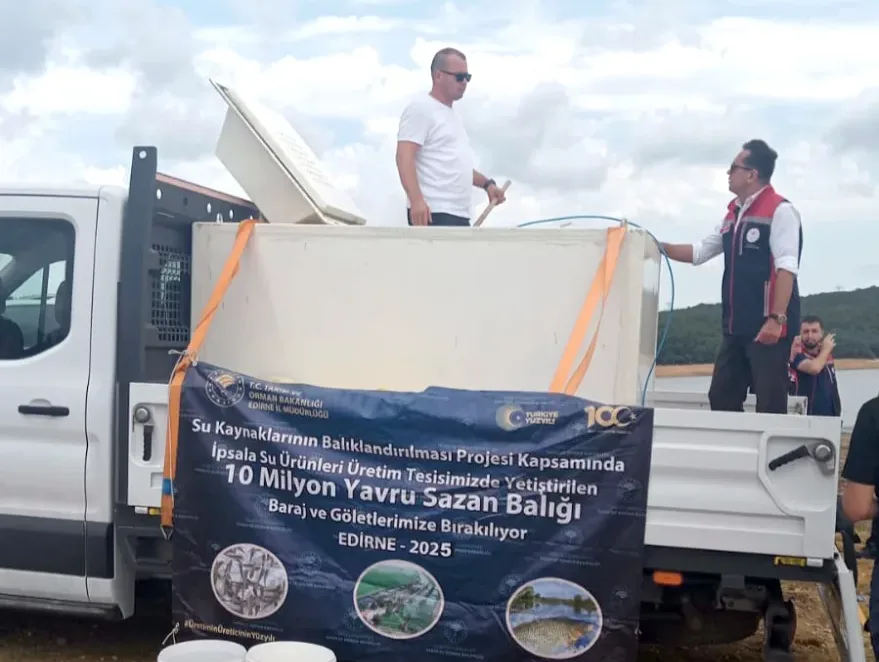 Milyonlarca yavru sazan balığı doğaya salındı