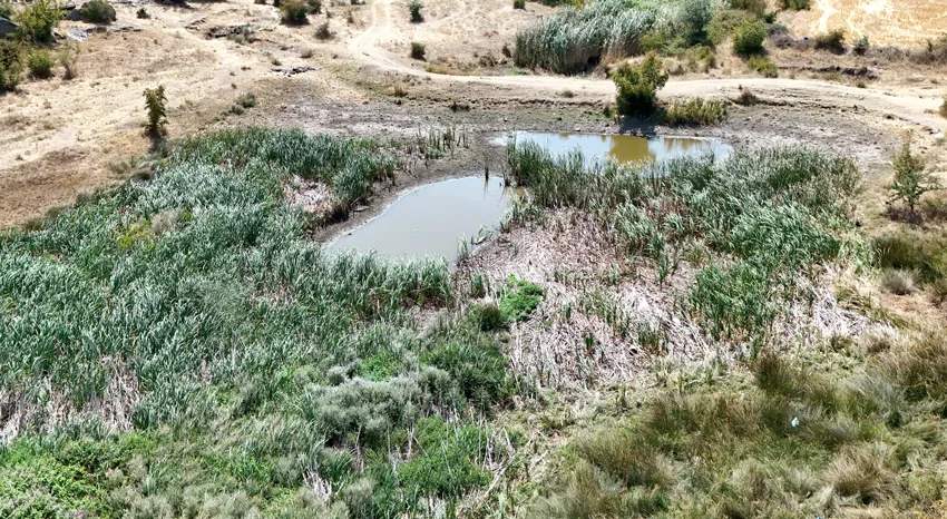 Kırklareli’nin Sazlık Göleti kuraklık nedeniyle kuruma noktasına geldi
