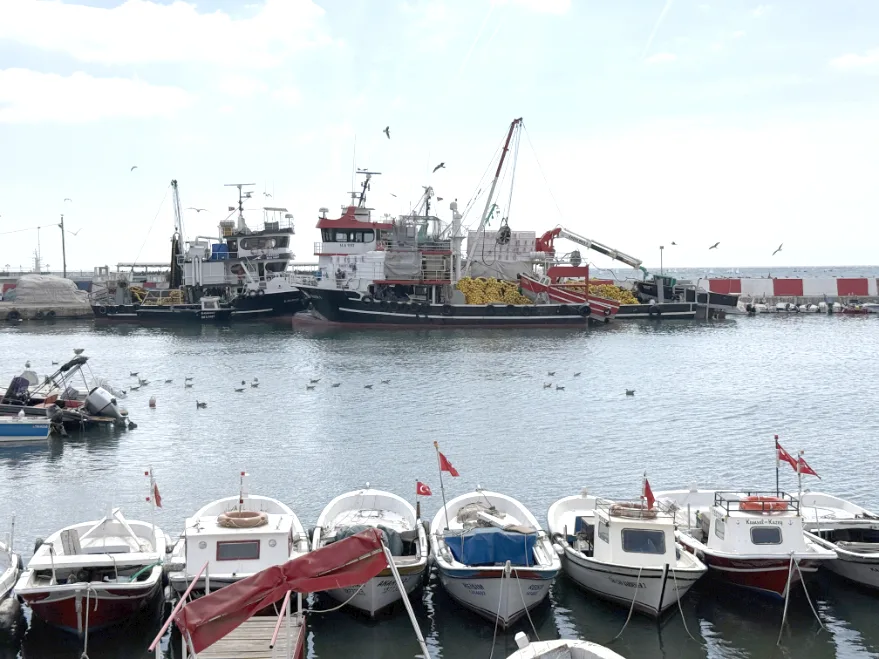 Tekirdağ’da balıkçılar poyraz nedeniyle denize açılamadı