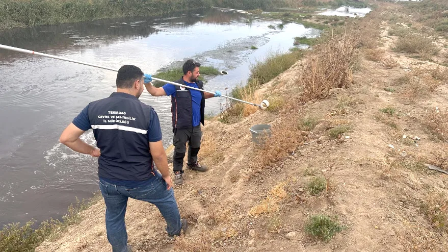 Tekirdağ’da arıtılmadan Çorlu Çayı’na yapılan atık su deşarjına inceleme
