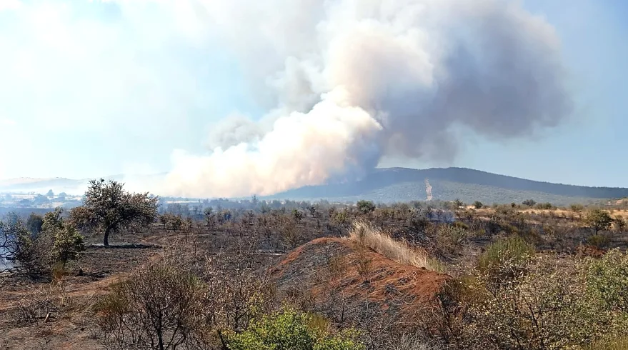 Çanakkale’de çıkan yangına havadan ve karadan müdahale ediliyor
