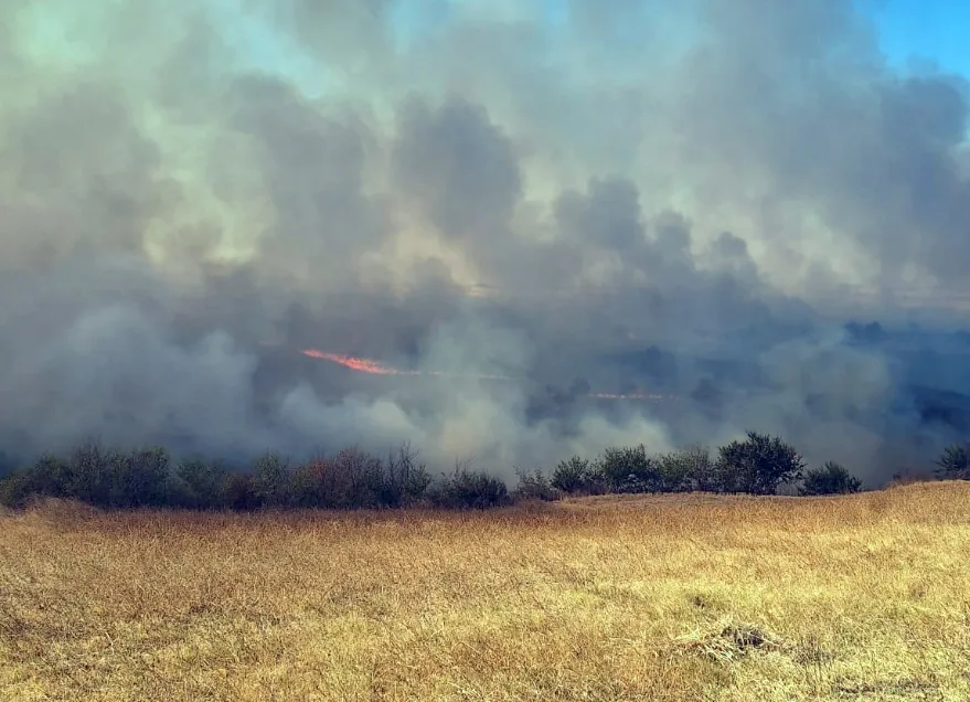 Edirne’de anızda çıkıp ağaçlık alana sıçrayan yangın söndürüldü