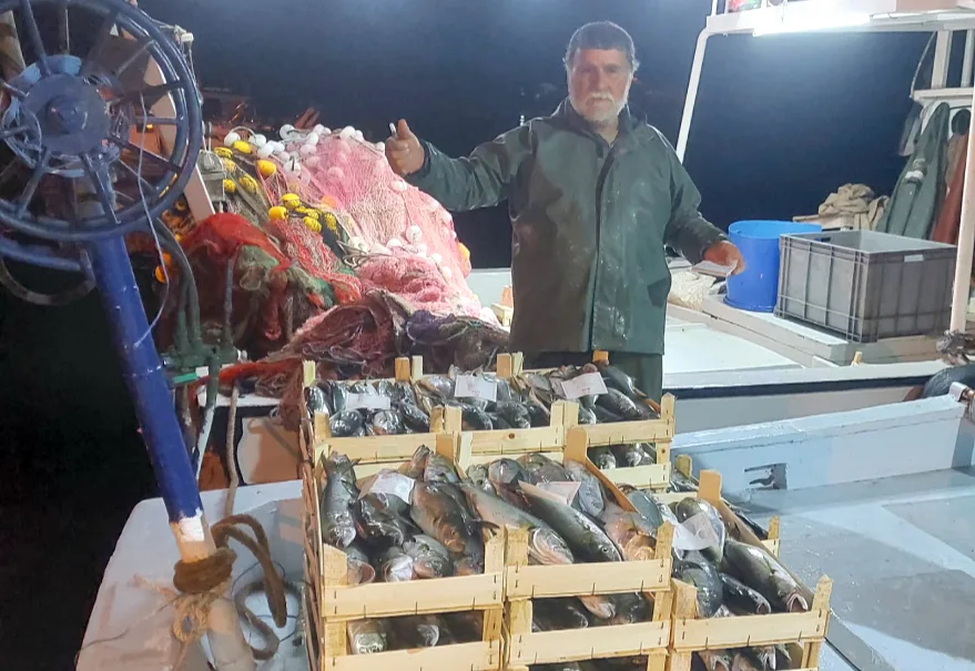 Kırklareli’nin İğneada beldesinde balıkçılar ağlarını lüferle doldurdu