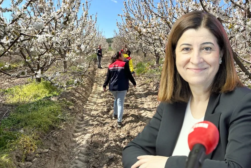 Edirne’de 785 çiftçiye zirai don desteği