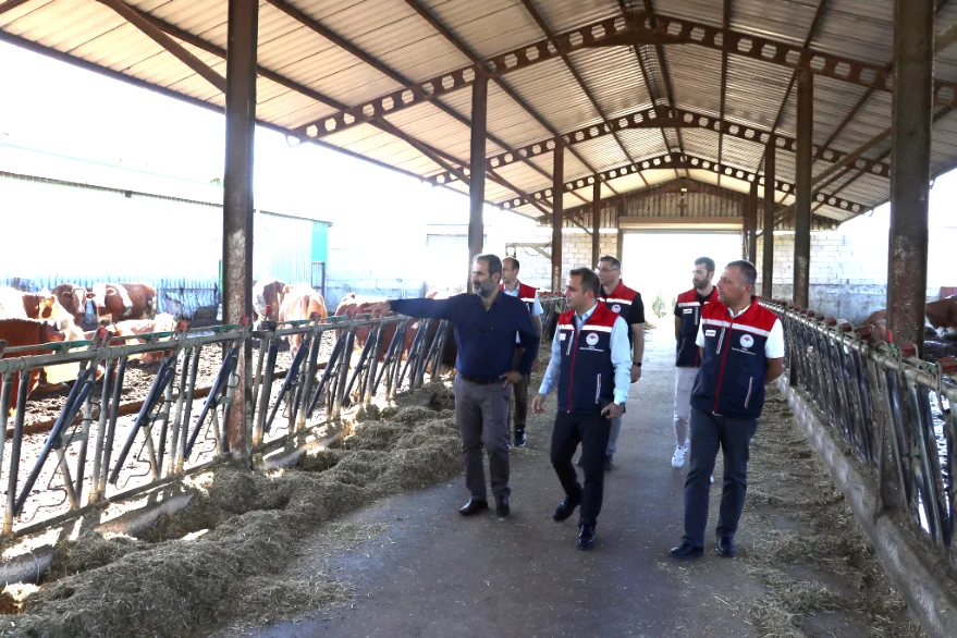 Köse, Meriç’te tarım ve hayvancılığı yerinde inceledi     
