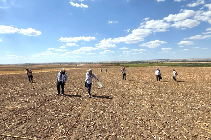 TU Yuzey Arastirmasi 1 - Edirne’nin arkeolojik zenginliği gün yüzüne çıkıyor