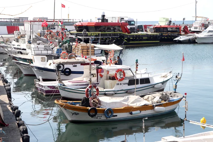 Balikcilar 2 - Tekirdağ’da poyrazın etkisini yitirmesiyle balıkçılar yeniden denize açıldı