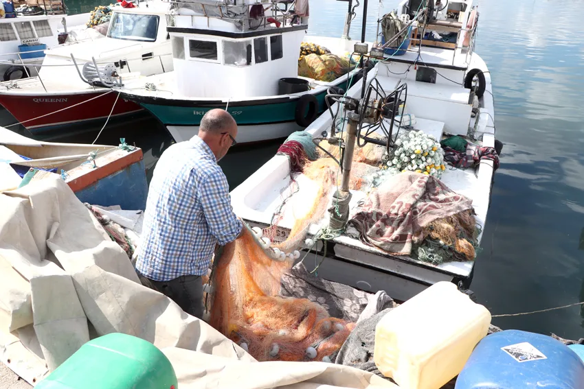 Tekirdağ’da denize açılan balıkçıların yüzü istavritle gülüyor