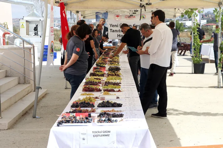 Uzum 2 - Tekirdağ’da geliştirilen 23 üzüm çeşidi tanıtıldı