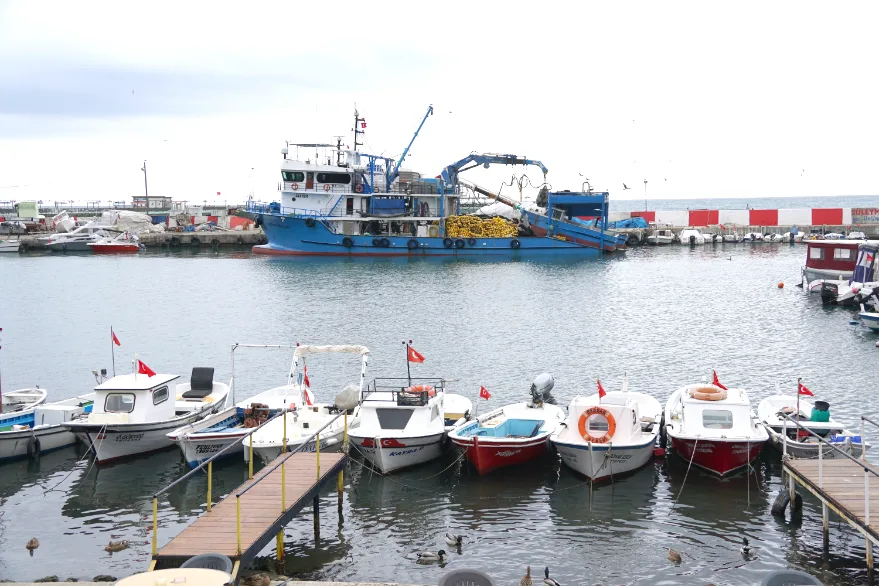 Tekirdağ’da balıkçılar poyraza takıldı