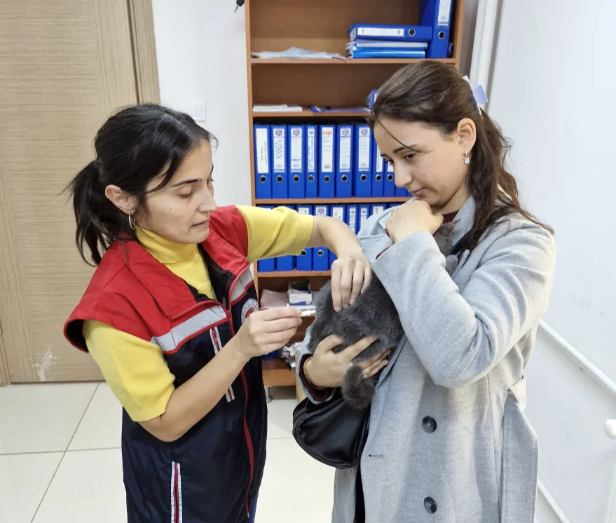 Edirne’de çip ve kuduz aşısı uygulaması sürüyor